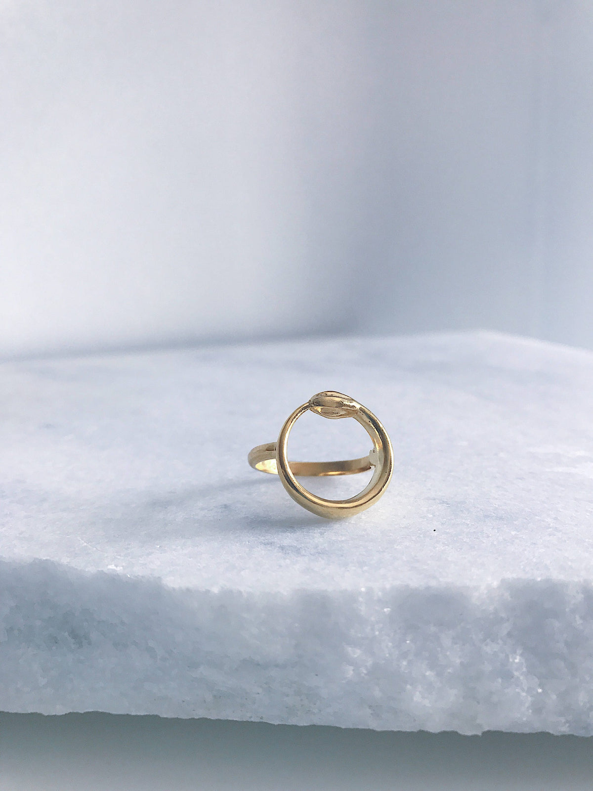 Ouroboros Ring: Gold filled on silver Alchemist Serpent Jewelry - KathyRossJewelry