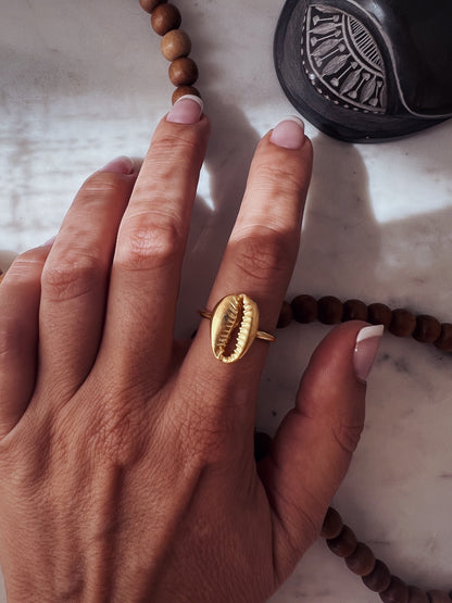 Silver 925 puka shell ring - KathyRossJewelry