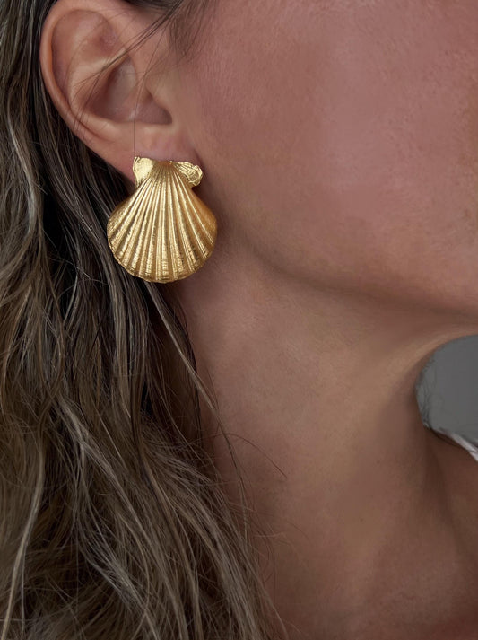 18k gold filled on Silver 925 clam Shell Earrings - KathyRossJewelry