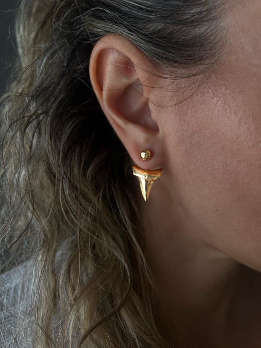 Sterling Silver Shark Tooth Ear Jacket Stud Earrings - KathyRossJewelry