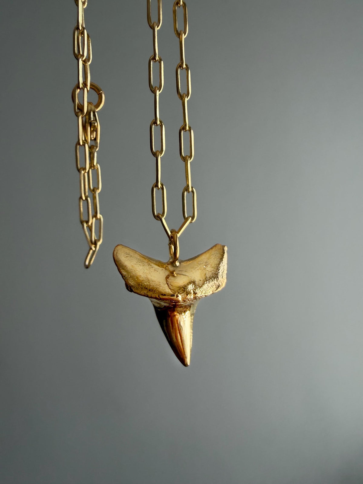 Gold Shark Tooth Necklace: solid Sterling Silver 925 Talisman amulet charm Pendant - KathyRossJewelry