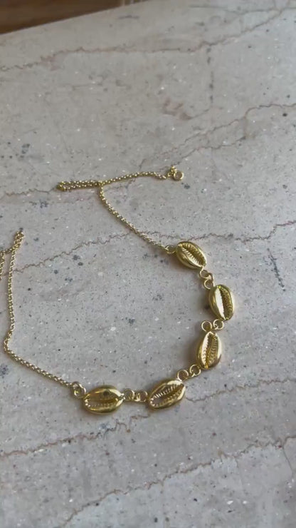 Gold Puka Shells necklace : Gold filled  Sterling Silver 925 Cowrie