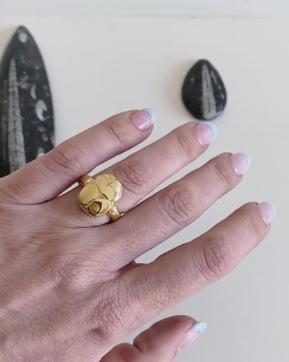 Gold Egyptian Scarab Ring: 925 Silver ancient Egyptian jewelry with Hieroglyphics Protection Amulet Gift
