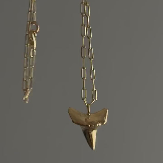 Gold Shark Tooth Necklace: solid Sterling Silver 925 Talisman amulet charm Pendant