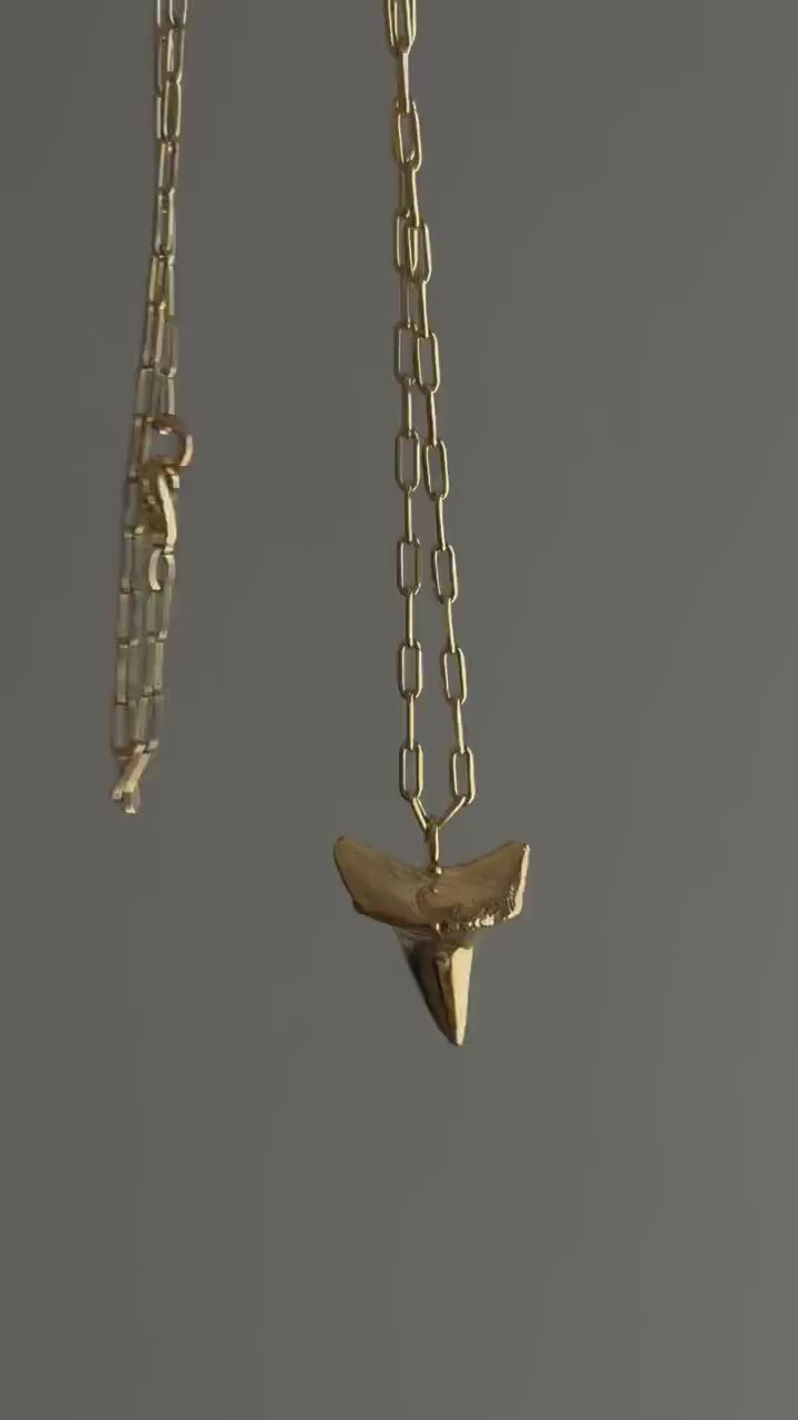 Gold Shark Tooth Necklace: solid Sterling Silver 925 Talisman amulet charm Pendant